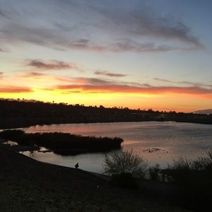 Meet your Posher, Maya